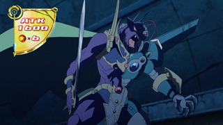 cap (16)
