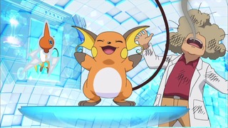 xy (211)