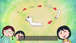 maruko-162