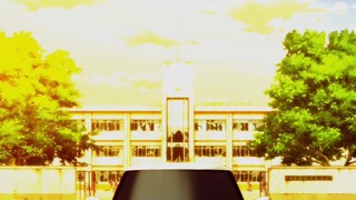 cap (245)
