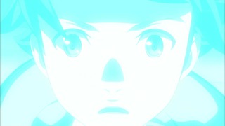 cap (33)