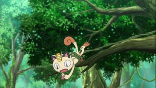 xy (64)