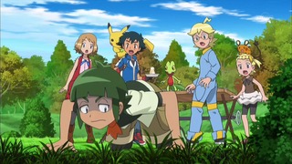 xy (24)