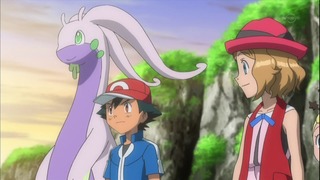 xy (144)