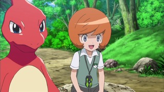 xy (28)