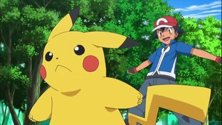 xy53 (138)