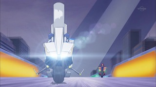 cap (13)