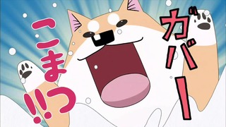 muco (48)