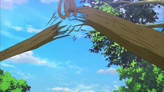 cap (218)