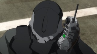 cap (288)