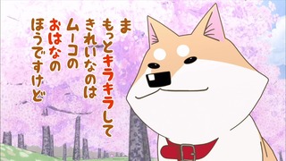 muco (31)