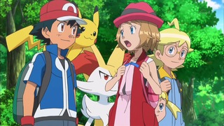 xy (173)