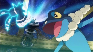 xy (44)