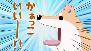 muco (47)
