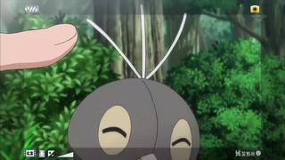 xy (39)