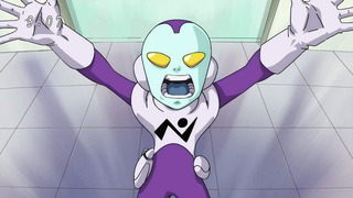 cap (13)
