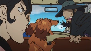cap (135)