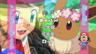 xy (247)
