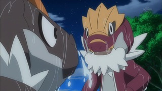 xy (18)