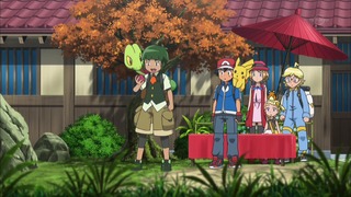 xy (55)