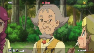 xy (263)
