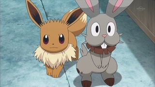 xy (6)