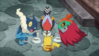 xy (162)