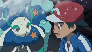xy (96)