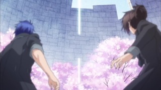 cap (12)