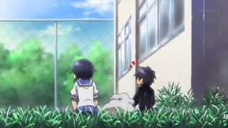 ko (23)