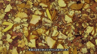 cap (241)