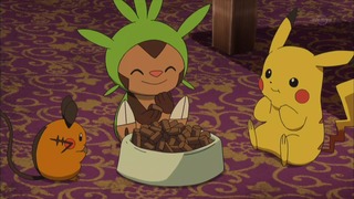 xy (27)
