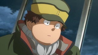 cap (113)