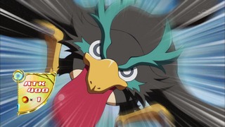 cap (41)