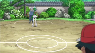 xy (93)