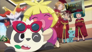 xy (28)