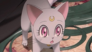 cap (151)