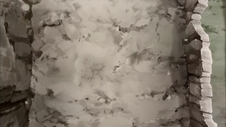 xyz (16)