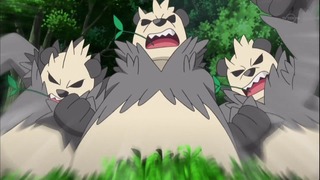 xy (14)