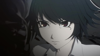 cap (12)