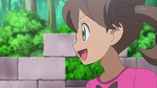 xy (146)