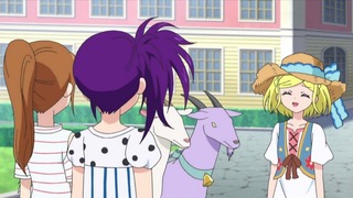 cap (16)
