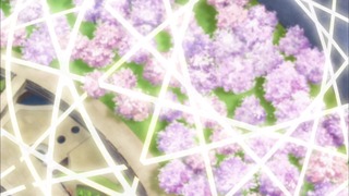 cap (14)