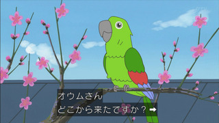 sazae-148