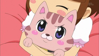 cap (16)