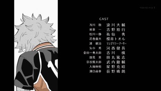 cap (256)