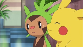 xy (98)