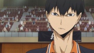 cap (20)