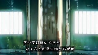 cap (28)