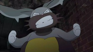 xy (153)